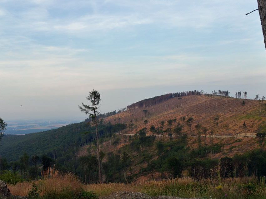 BISKUPIA KOPA 890 m.n.p.m.